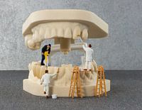 tooth reconstruction