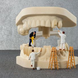 little world miniatuurtjes bezig met het schoonmaken van een gebit met tandpasta, mooi voor in een w van ChrisWillemsen