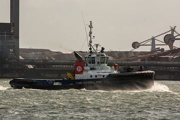 Sleepboot VB Cheetah onderweg in de haven Rotterdam in de storm. van scheepskijkerhavenfotografie