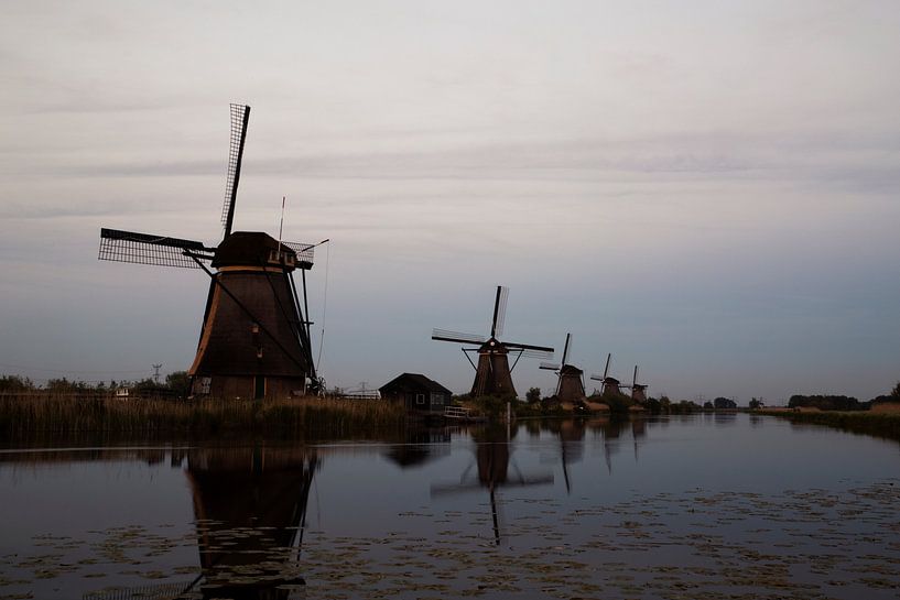 Die Windmühlen von Kinderdijk von bart vialle
