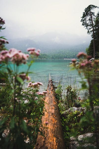 Doorgang tot de Eibsee van Wahid Fayumzadah