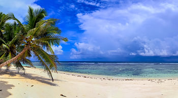 Traumhafter Strand mit Palme auf den Seychellen