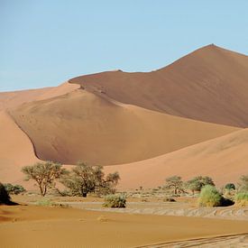 Sossusvlei, Namibia van Marvelli