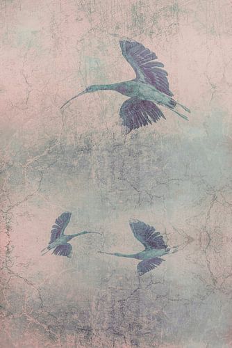 Ibissen in vogelvlucht. Peach Fuzz. Impressionisme.