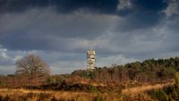 Fire tower Kalmthoutse heide: a landmark
