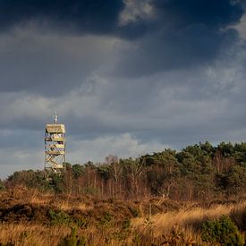 Feuerturm Kalmthoutse heide: ein Wahrzeichen von Captured Created by Cathleen