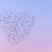 Geschenke zu Muttertag