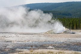 Geysir im Yellowstone-Nationalpark, USA von Jeroen van Deel