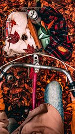 Do you want to be on my luggage carrier? by Truckpowerr