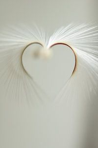 Heart by Carla Mesken-Dijkhoff