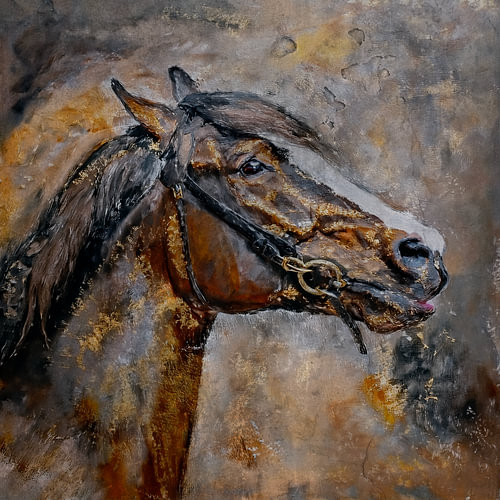 Cheval Appaloosa sur Marjolein Deelen