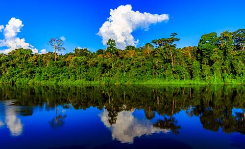 Paloemeu (sometimes spelled Palumeu) is an indigenous village .