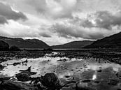 A view over the loch towards the mountains by Jacqueline Sinke thumbnail