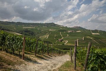 Vergezicht over heuvels en velden met wijnranken Piemont, Italie van Joost Adriaanse