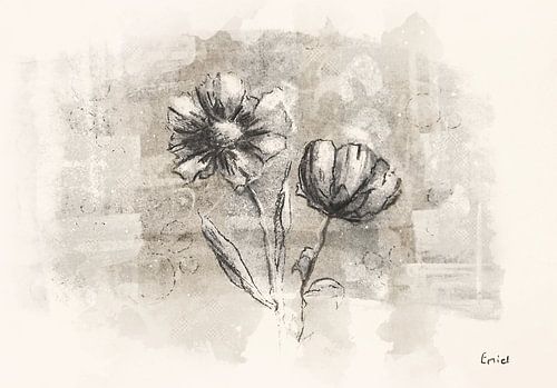 Landelijk schilderij van bloemen – warme houtskooltekening met natuurlijke texturen