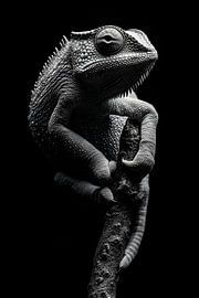 Kameleon van Poster Art Shop
