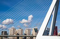 (Sky)Lines of Rotterdam