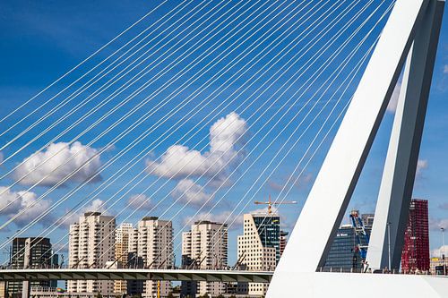 (Sky)Lines de Rotterdam