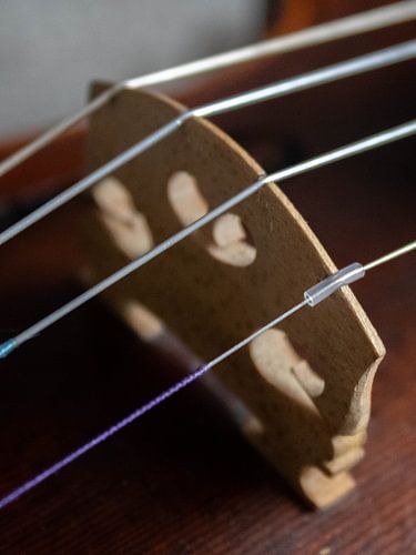 Violin Closeup 03 | Picture