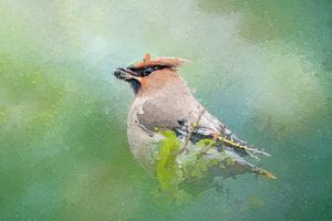 Oiseau pesteux dans un buisson de baies - peinture