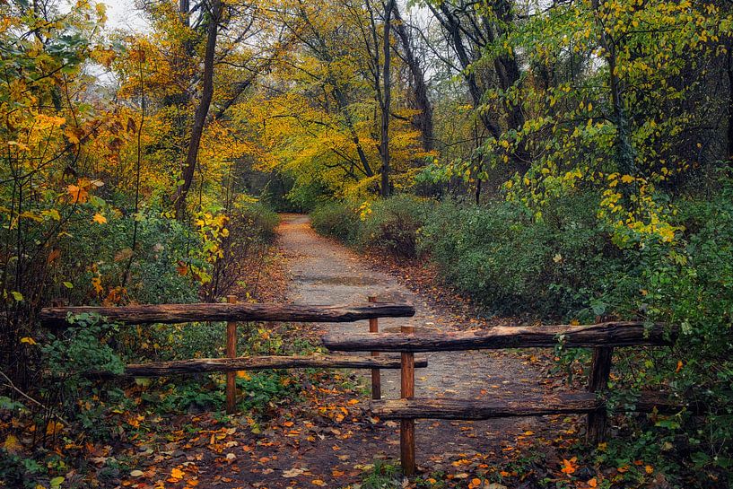Toegang Alkmaarderhout van peterheinspictures