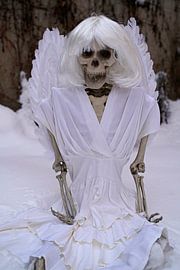 Skeletons with charm, humor and simply different