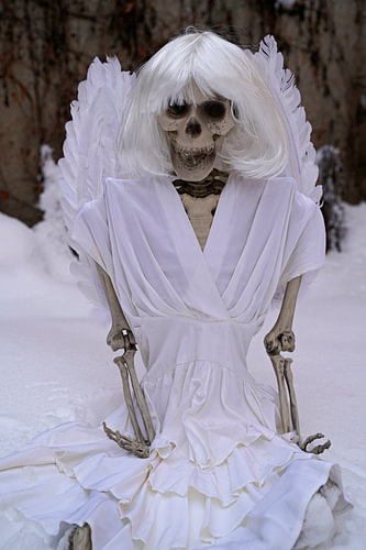 Skeletten met charme, humor en gewoon anders