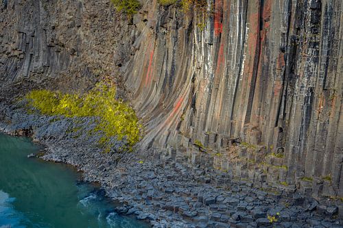 Basalt columns coloured orange by iron oxide, Studlagil Canyon, Egilsstadir, Austurland, Iceland