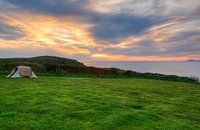 Marloe Wales