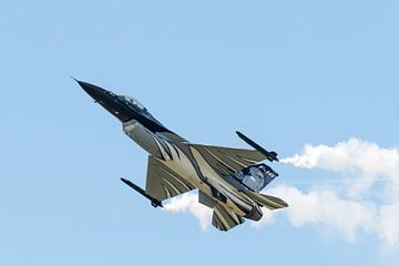 LM F-16 Fighting Falcon van Wim Stolwerk