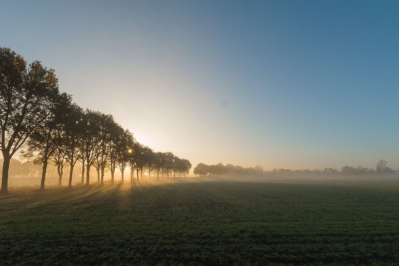 Nebliger Morgen  von Thomas van de Vosse