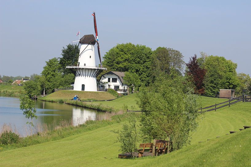 Mill by Melanie Schook