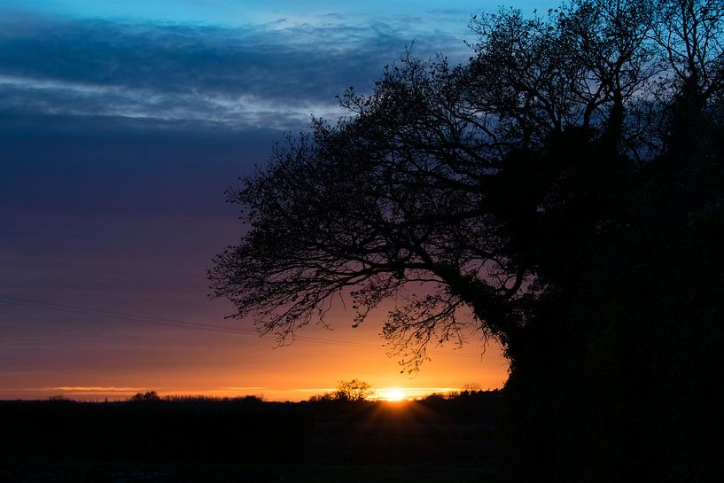 British Countryside  by Jack Turner