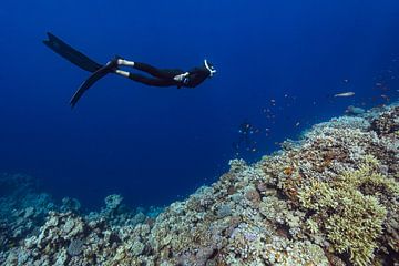 Freediver over Blue Hole saddle by Eric van Riet Paap