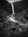 Svartifoss waterval in IJsland in zwart-wit van iPics Photography thumbnail