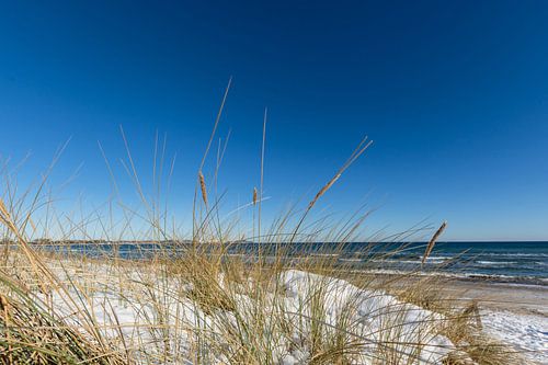 Duinen in de sneeuw, strand in Juliusruh op het eiland Rügen