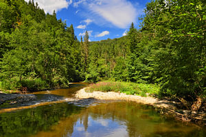 Wutachschlucht, Deutschland