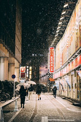 De Hartslag van Tokyo: De Mensen Die de Stad Vormen