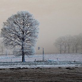 koude eenzaamheid by Wim Dubbelman