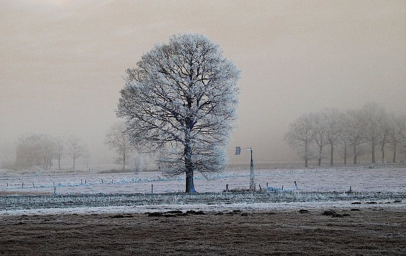 koude eenzaamheid von Wim Dubbelman