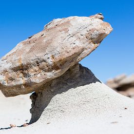 Bisti Wilderness Area - Bisti Badlands - Balanced Rock van Guido Reijmers