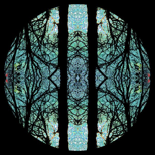 Hemisphäre 20 von Sandra Marcus