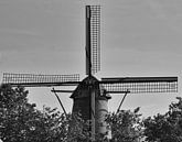 Daar bij die molen, de wieken in het zwart en wit van Jolanda de Jong-Jansen thumbnail