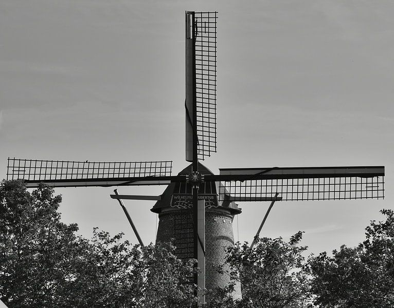 Daar bij die molen, de wieken in het zwart en wit van Jolanda de Jong-Jansen