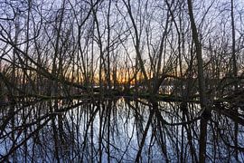Sassenhein - Haren - Groningen (Netherlands) by Marcel Kerdijk