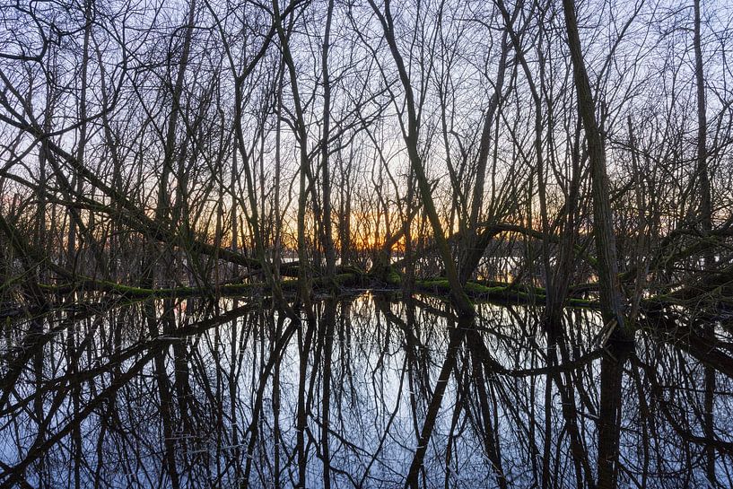 Sassenhein - Haren - Groningen (Netherlands) by Marcel Kerdijk