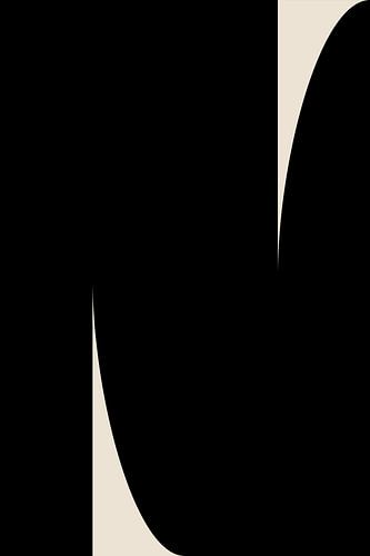 Formes abstraites en noir et blanc I