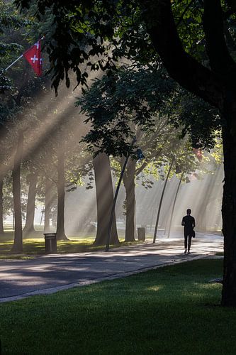 Een Regen van Zonnestralen