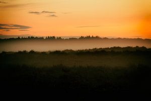 De heide in avondlicht