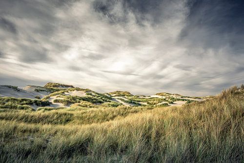 Amrum III